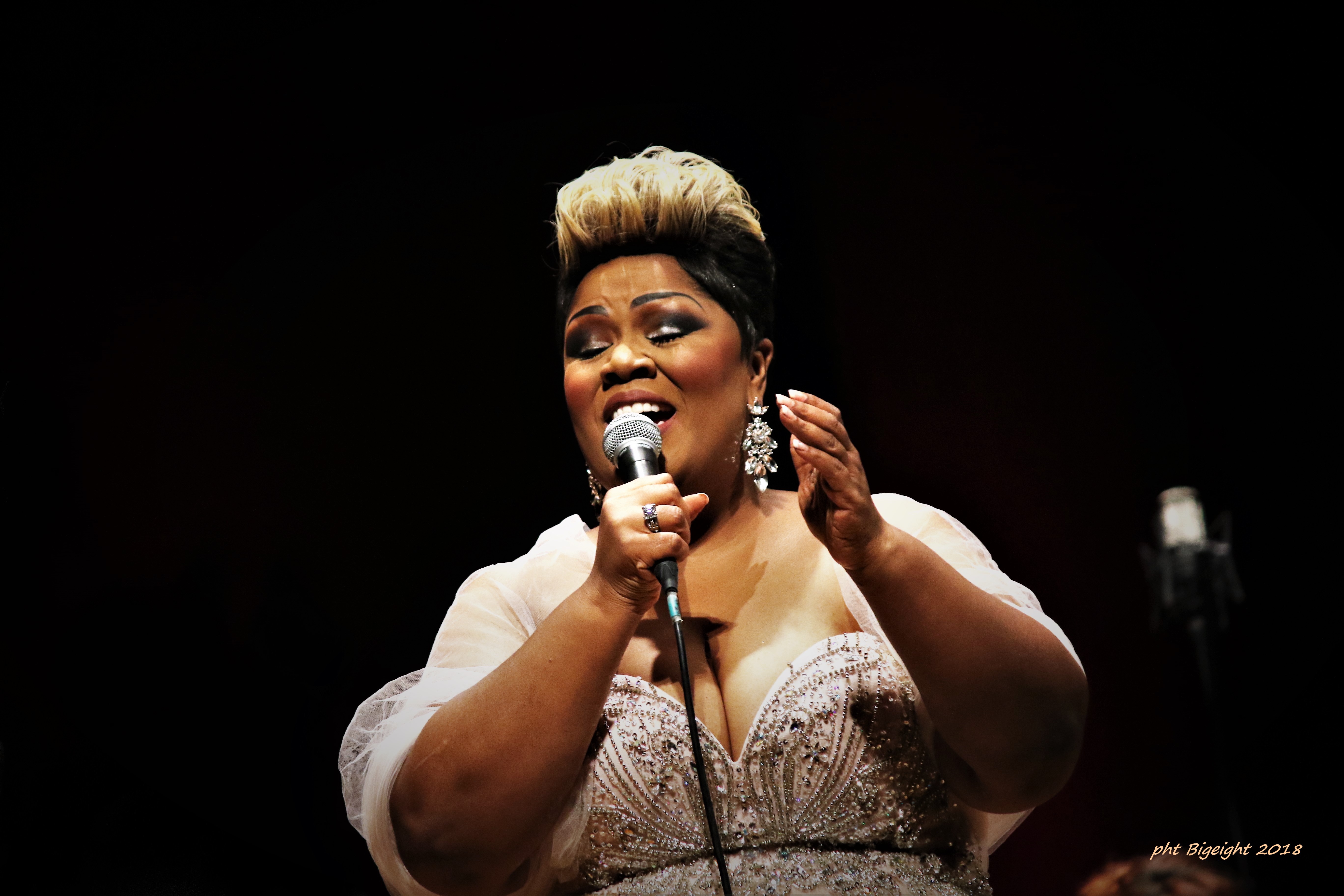 Immagine contenuta dentro la raccolta: Concerto di Gala con la Banda Verdi e Cheryl Porter 
